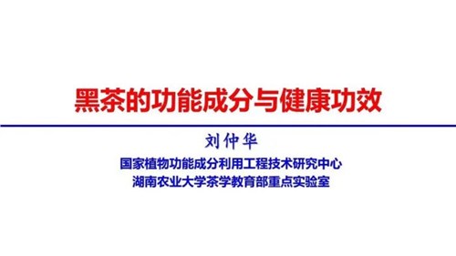 茶的功能成分與健康功效 | 茶、飲茶與健康