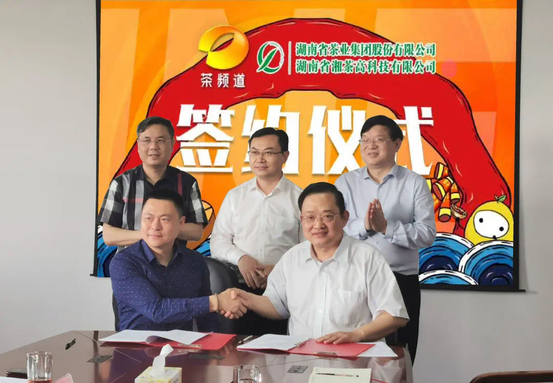 院士見證，輕輕茶發(fā)力品牌建設(shè)，與茶頻道達(dá)成深度合作