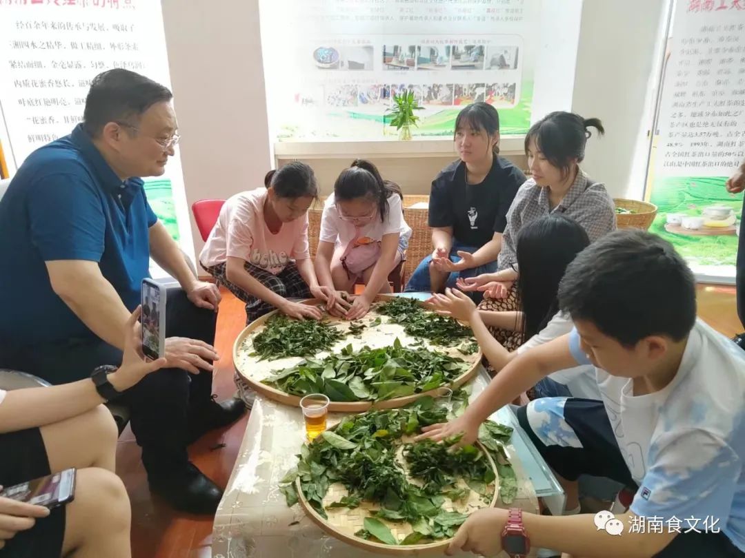 原載人民日?qǐng)?bào)“人民視點(diǎn)”茶葉是怎樣做出來(lái)的？湖南大、中、小學(xué)生體驗(yàn)湖南工夫紅茶制作